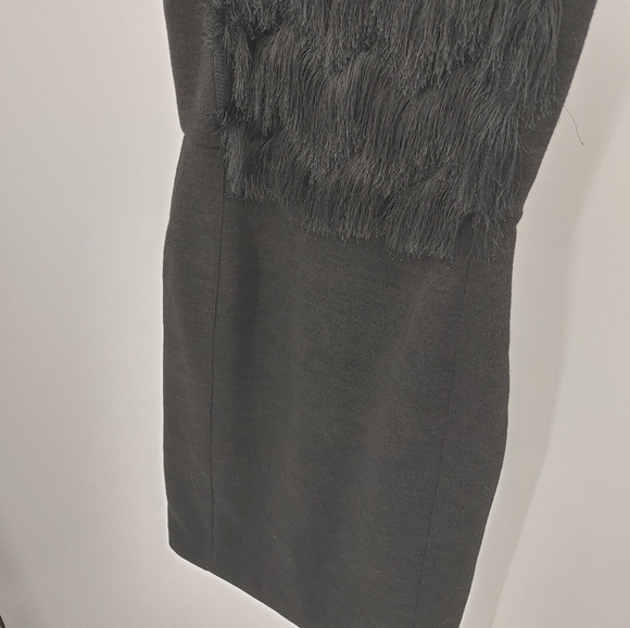 Banana Republic | fringe bodycon dress - Picture 3 of 8